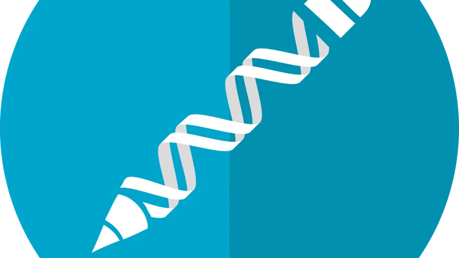 Gentechnik-mcmurryjulie-Pixabay-gene-editing-2375732_1280
